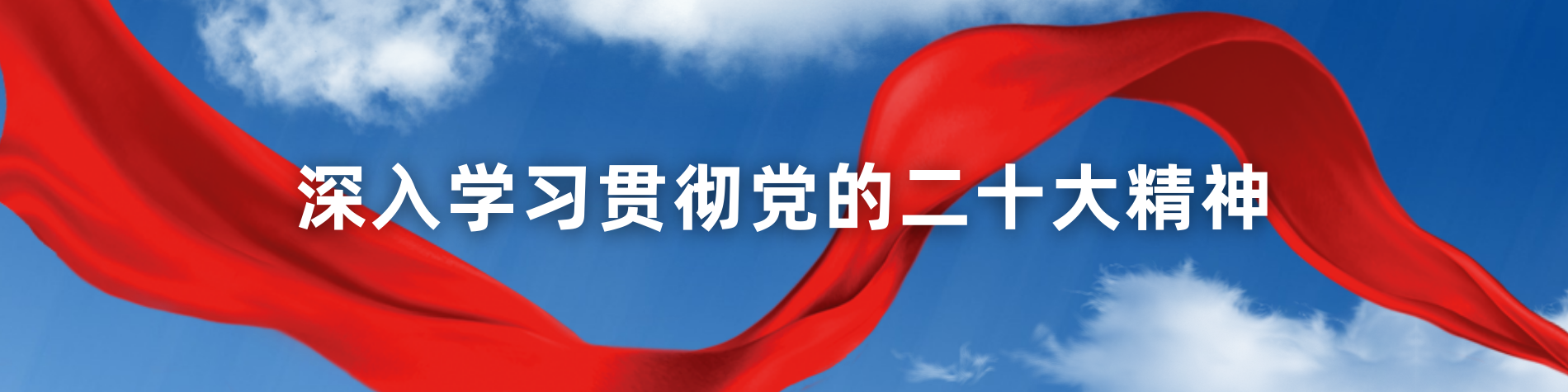 深入学习贯彻党的二十大精神